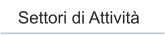Settori di Attivit�