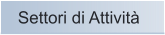 Settori di Attivit�